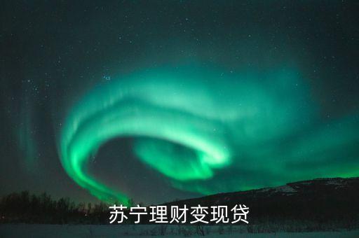 蘇寧理財變現(xiàn)貸