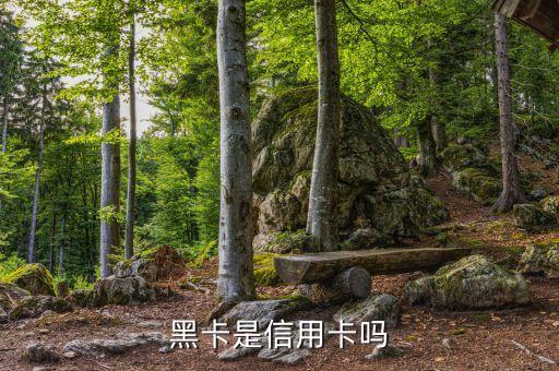 銀行黑卡是什么意思，黑卡是信用卡嗎