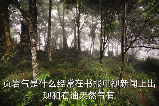 頁巖氣和天然氣有什么不同，頁巖氣與煤層氣的區(qū)別
