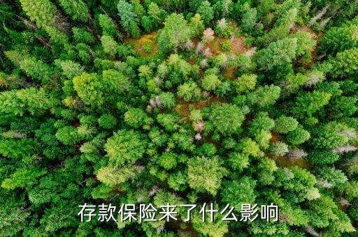 存款保險來了什么影響