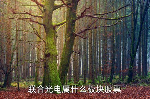聯(lián)合光電屬什么板塊股票