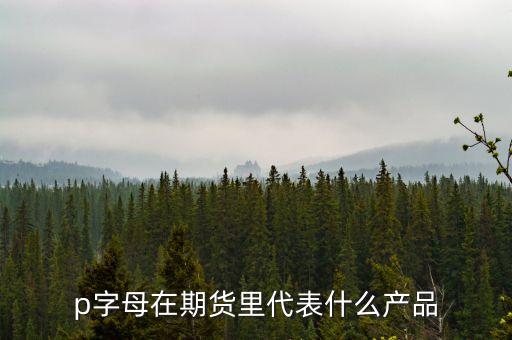 pp是什么期貨，聚丙烯期貨是什么