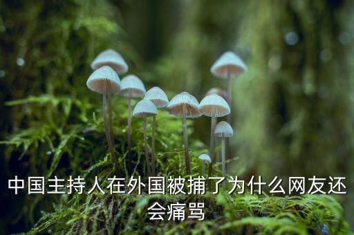 國網(wǎng)魏慶海出什么事了，中國主持人在外國被捕了為什么網(wǎng)友還會痛罵