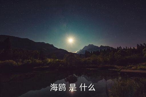 海鷗和石墨是什么關(guān)系，MAURICE BLUM品牌和海鷗有什么關(guān)系
