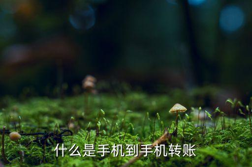 手機(jī)號匯款什么意思，什么叫匯款我用手機(jī)把卡上錢匯到另一個號會有問題嗎多久能匯