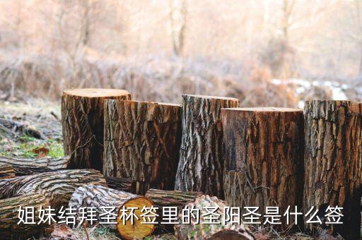 圣陽圣屬什么簽，天災(zāi)禍不除我去拜佛了請問下這只簽是什么意思啊好
