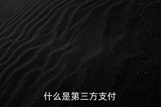 民信貸第三方支付是什么，什么是第三方支付
