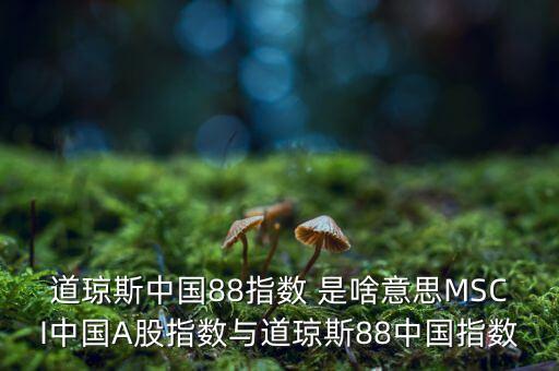 88開(kāi)頭的股票是什么股，88打頭的股票代碼是那個(gè)交易所