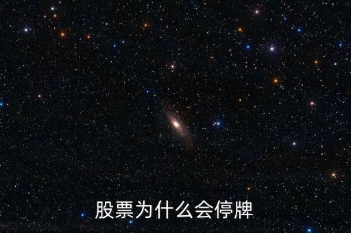 002163為什么停牌，股票為什么會(huì)停牌
