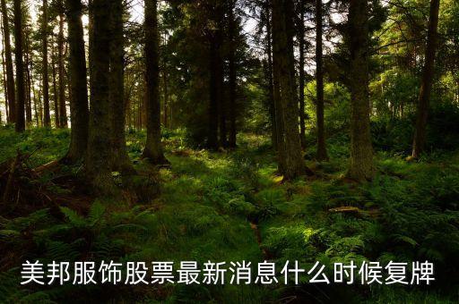 美邦服飾為什么停牌，京東方A現(xiàn)在377元這個(gè)價(jià)格適合大量買入嗎這個(gè)股價(jià)有上漲空間