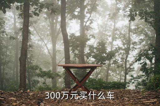300萬(wàn)現(xiàn)金買(mǎi)什么車(chē)，300萬(wàn)元可以買(mǎi)什么車(chē)