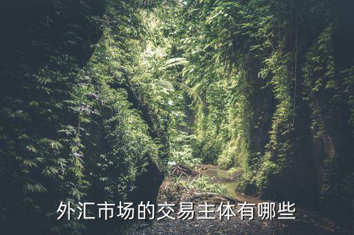 外匯市場的交易主體有哪些