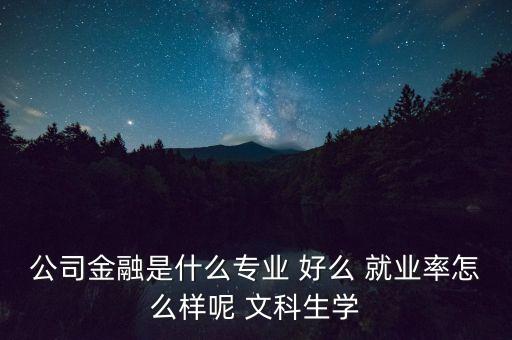 什么叫公司金融，公司金融是什么專業(yè) 好么 就業(yè)率怎么樣呢 文科生學(xué)