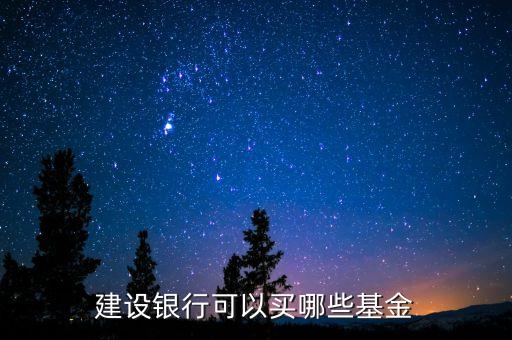 建設(shè)銀行可以買哪些基金