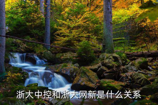 浙大網(wǎng)新做什么的，浙江浙大網(wǎng)新中研軟件有限公司怎么樣