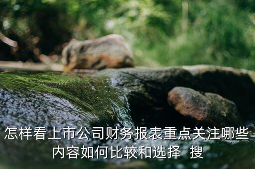 上市公司報(bào)表主要看什么，怎樣看上市公司財(cái)務(wù)報(bào)表重點(diǎn)關(guān)注哪些內(nèi)容如何比較和選擇  搜