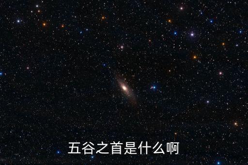 中糧是中國什么之首，中糧集團