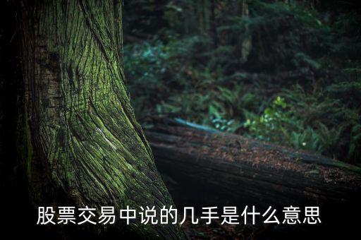 股票幾手是什么意思，股票的幾手是什么意思