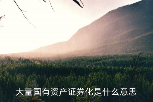 什么是國資證券化率，資產(chǎn)證券化率的公式