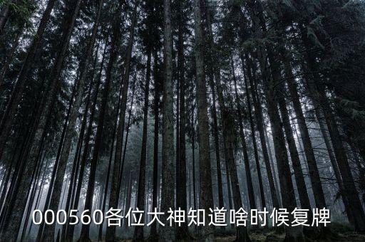 棟梁新材什么時候復牌，000560各位大神知道啥時候復牌