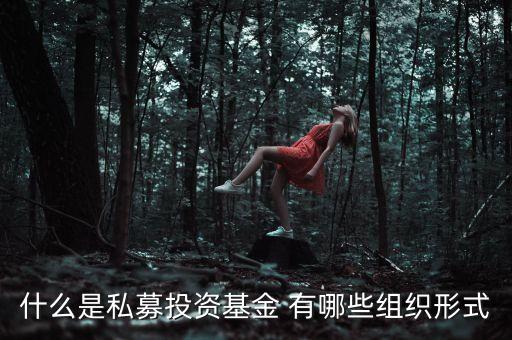 什么是募投資金，什么是私募投資基金 有哪些組織形式