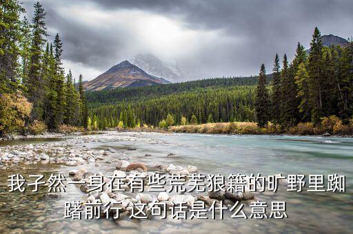 躑躅前行什么意思，我孑然一身在有些荒蕪狼籍的曠野里踟躇前行 這句話是什么意思