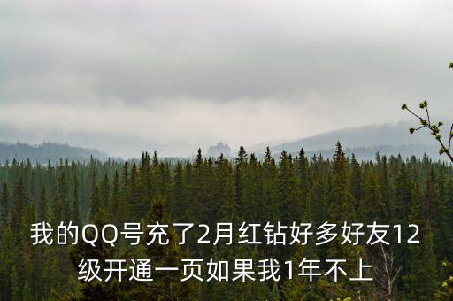 我的QQ號(hào)充了2月紅鉆好多好友12級(jí)開通一頁如果我1年不上
