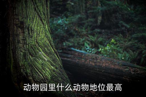 動物園什么動物人氣最高，動物園什么動物地位最高
