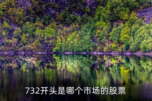 732開頭是什么股票，732開頭是哪個(gè)市場的股票