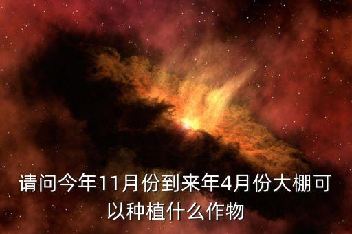 請問今年11月份到來年4月份大棚可以種植什么作物