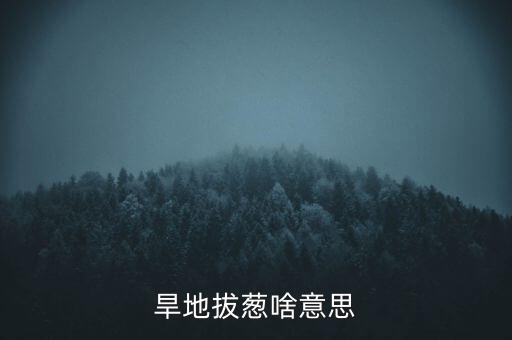 旱地拔蔥啥意思