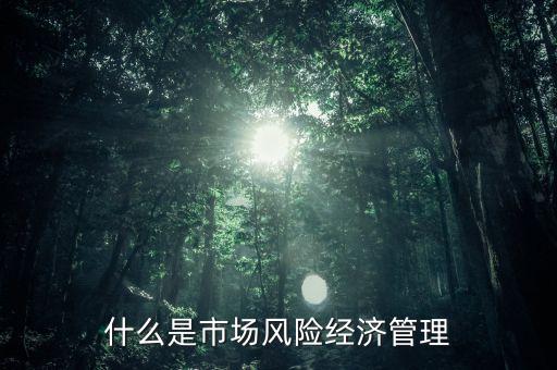什么是市場風險，什么是市場風險經(jīng)濟管理