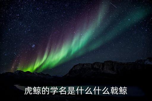折戟鯨是什么，虎鯨的學(xué)名是什么什么戟鯨