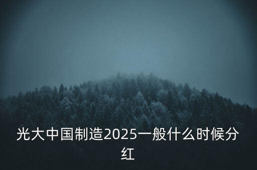 光大中國制造2025一般什么時候分紅