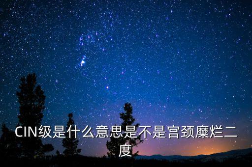 海泰宮靖是什么級別，CIN級是什么意思是不是宮頸糜爛二度