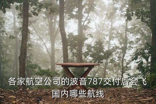 國航787什么時候交付，國內(nèi)外有幾家航空公司擁有波音787的航空公司是哪幾家
