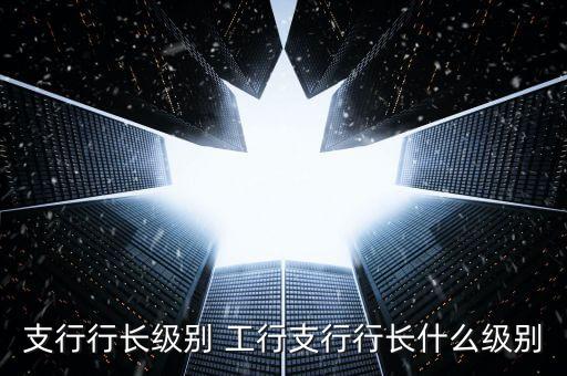 工行董事長(zhǎng)什么級(jí)別，支行行長(zhǎng)級(jí)別 工行支行行長(zhǎng)什么級(jí)別