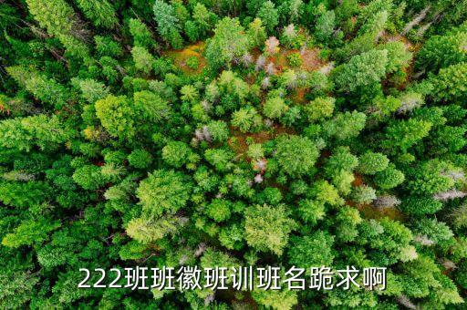 砥礪同心什么意思，翻建祖厝大門對聯(lián)
