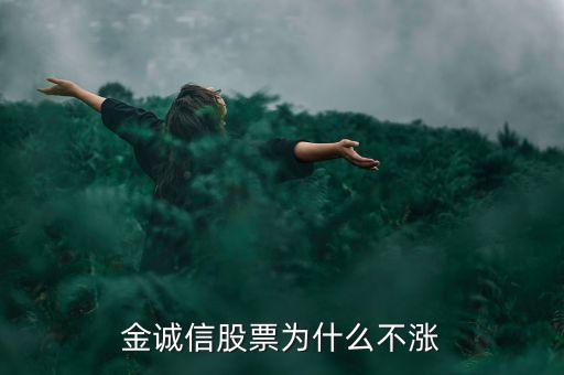 金誠(chéng)信股票為什么不漲