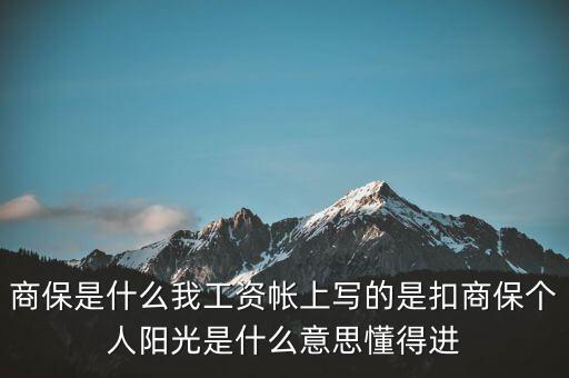 商保是什么，什么叫商業(yè)保險和社會保險