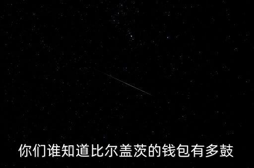 比爾蓋茨用什么錢包，求對愛因斯坦的大腦阿蘭德龍的外表施瓦星格的體魄比爾蓋