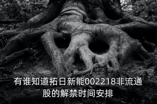 有誰知道拓日新能002218非流通股的解禁時間安排