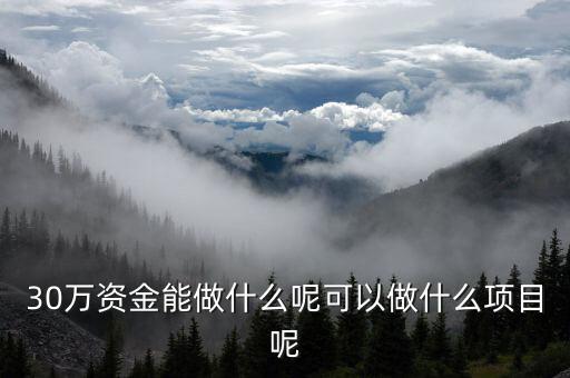 30萬上下投資什么項目，做生意投資30萬可以做什么