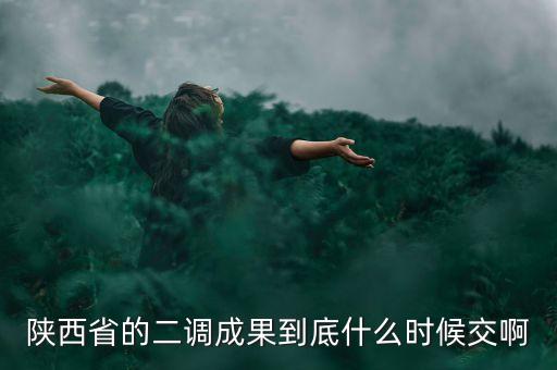 陜西省的二調(diào)成果到底什么時(shí)候交啊