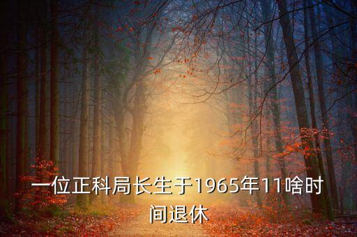 一位正科局長生于1965年11啥時間退休
