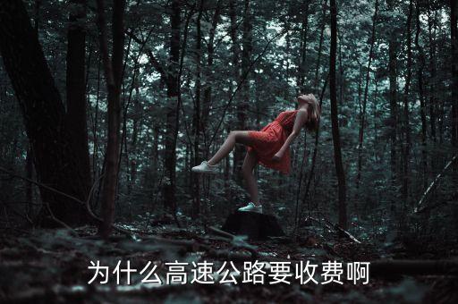 中國高速公路為什么要收費(fèi)，為什么高速公路要收費(fèi)啊