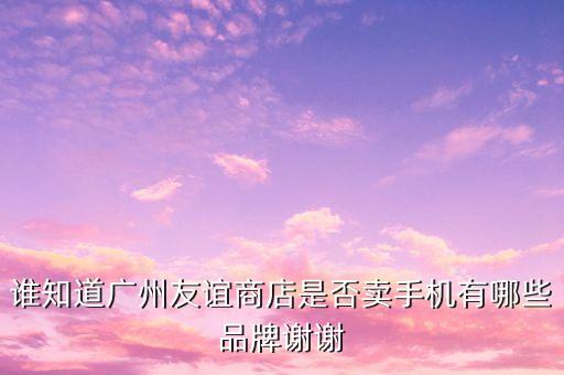 廣州友誼商店可以買什么，廣州友誼商店
