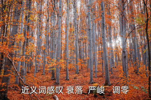 調(diào)零的近義詞是什么，近義詞感嘆 衰落  嚴(yán)峻   調(diào)零