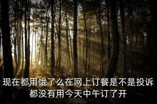 現(xiàn)在都用餓了么在網(wǎng)上訂餐是不是投訴都沒有用今天中午訂了開