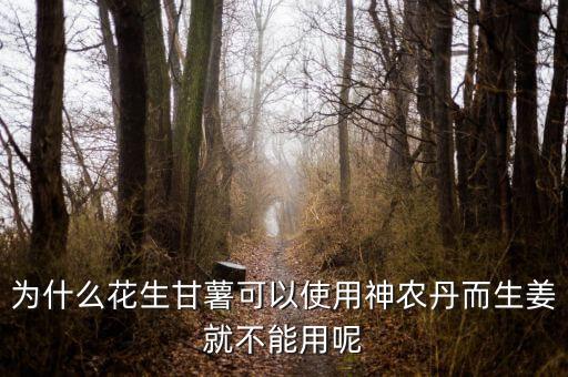 為什么花生甘薯可以使用神農(nóng)丹而生姜就不能用呢